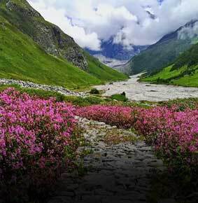 valley of flower