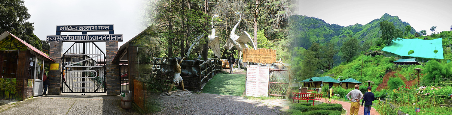 Nainital Almora Corbett Adventure